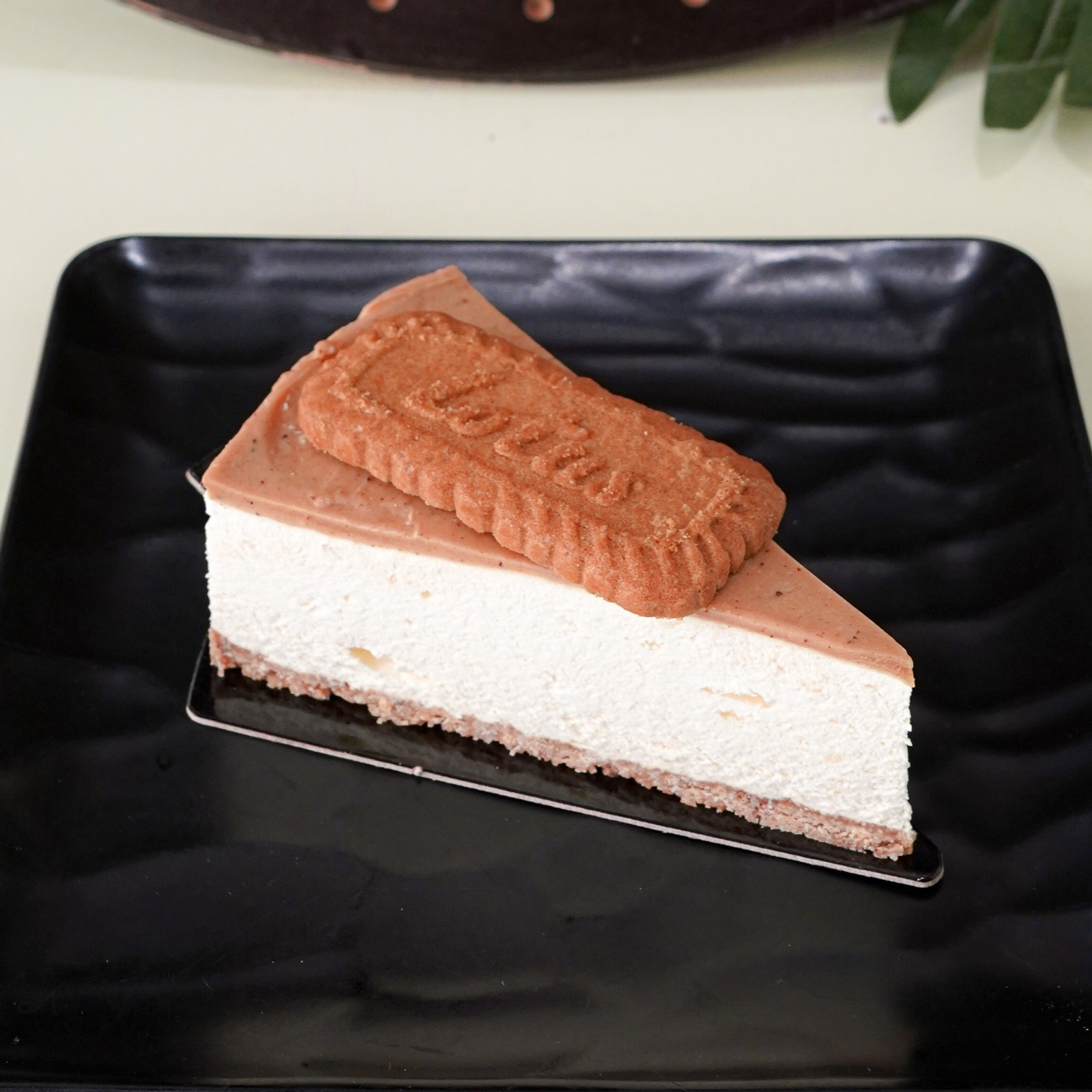 Cheese Cake Lotus